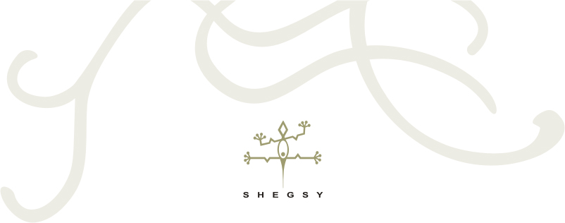 shegsy official web site